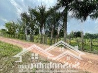 Bán Vườn Cà Na, Bên Sông Sg Tại Xã An Phú, Củ Chi, Tphcm, 5.9 Tỷ, 2860 M2 - Có 90M2 Thổ Cư