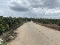 Bán Đất Tại Xã Tân Văn, Lâm Hà, Lâm Đồng, Giá Cực Chất 3,5 Tỷ, Diện Tích 6000M2
