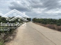 Bán Đất Tại Xã Tân Văn, Lâm Hà, Lâm Đồng, Giá Cực Chất 3,5 Tỷ, Diện Tích 6000M2