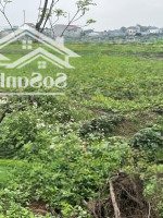 Bán Đất Tại Xã Thạch Châu, Lộc Hà, Hà Tĩnh, 1,25 Tỷ, 200 M2 Đối Diện Với Bệnh Viện Lộc Hà
