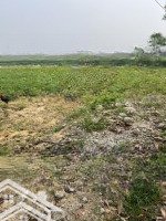 Bán Đất Tại Xã Thạch Châu, Lộc Hà, Hà Tĩnh, 1,25 Tỷ, 200 M2 Đối Diện Với Bệnh Viện Lộc Hà
