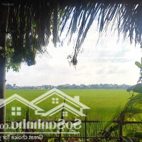 Mặt Tiền Hùng Vương - Thanh Hà View Sông Trước, View Lúa Sau