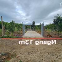 Bán vườn cây trái Diên Xuân giá rẻ ngay khu dân cư