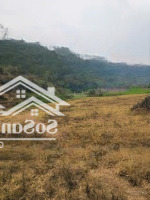 Chỉ 550K/M2 Đất Tại Kim Bôi Hòa Bình, Cách Đường Liên Huyện 500M. Bên Cạnh Có Homestay Hoạt Động