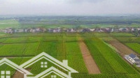Bán Đất Nền Đấu Giá Xuân Minh 2