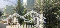Bán Gấp Đất Tại Nguyễn Ngọc Cung, Phường 16, Quận 8, Tp. Hcm 4,2 Tỷ, 60M2