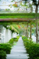 Quỹ Căn Liền Kề, Biệt Thự Tháng 04/2025 An Lạc Green Symphony Chủ Thiện Chí Bán. Liên Hệ: 0986419389