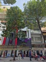 Bán Nhà Mặt Tiền 154 Nguyễn Công Trứ, Quận 1.Diện Tích4,76X21M, 6 Tầng