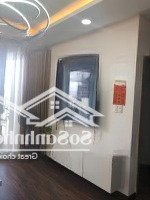 Pkd Cập Nhật Giỏ Hàng Tara Residence Giá Tốt Đã Có Sổ Hồng Tháng 4/2025 Đến Với Quý Anh Chị