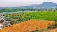 Siêu Phẩm Nghỉ Dưỡng View Đẹp Bám Cánh Đồng Xanh Mướt, Hàng Xóm Với Dự Án Nghỉ Dưỡng