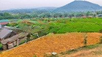 Siêu Phẩm Nghỉ Dưỡng View Đẹp Bám Cánh Đồng Xanh Mướt, Hàng Xóm Với Dự Án Nghỉ Dưỡng