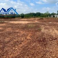 Bán đất XD xưởng SKC 14.000m2 giá rẻ chỉ 28 tỷ. Thiện Tân-Vĩnh Cửu-Đồng Nai