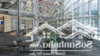 Cho Thuê Nhà Mặt Phố Trung Hòa,Diện Tích140M2,Mặt Tiền6M Giá Phố Cực Đông Dân, Sinh Viên, Kd Mọi Mô Hình
