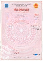 Chính Chủ Bán Đất, Tặng Nhà, 2 Mặt Thoáng. Hẻm 63/26/19, Ngõ 63, Đ. Trần Quốc Vượng, Dịch Vọng Hậu