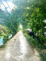Bán Đất Thổ Cư 247M2 Cách Tt Tân Túc 500M