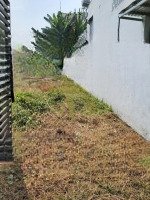 5X23M 1 Sẹc Đường Ql22 - Ra Quốc Lộ 22 Chỉ 50M - Ngay Trục Đi Vào Vinhomes Củ Chi - Sổ Riêng Thổ Cư