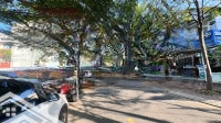 Đất Mặt Tiền Phạm Thị Tân, Trung Tâm Phường Phú Lợi; 2 Lô Liền Kềdiện Tích6.3Mx12.8M, Thổ Cư 60M