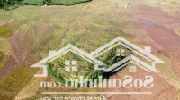 Bán Gấp Đất Chính Chủ Tại Xã Mỹ Hòa, Tân Lạc