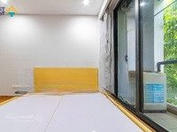Chính Chủ Cho Thuê Chung Cư Mini Có Ban Công Tại Đại Linh Oto Đỗ Cửa