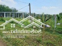 Xã Lỗ 300 Triệu. Khu Vườn 1700M2 Có 25M Mặt Tiền. 950 Triệu