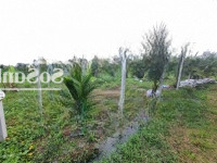 Xã Lỗ 300 Triệu. Khu Vườn 1700M2 Có 25M Mặt Tiền. 950 Triệu