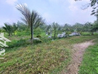 Xã Lỗ 300 Triệu. Khu Vườn 1700M2 Có 25M Mặt Tiền. 950 Triệu