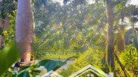 Biệt Thự Song Lập Waterpoint - View Kênh Đào, Số Lượng Giới Hạn. Giá Bán 7,1 Tỷ