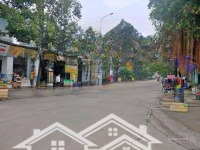 Nhựa 42M 4 Lô 20X60=1200M2 Sổ Riêng, Kinh Doanh Đa Ngành Nghề Giá 460 Triệu/Lô