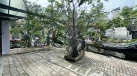 Cho Thuê Cửa Hàng Mặt Tiền 11M, 200M2, 400M2, Giá Cực Chất Tại Tây Sơn, Đan Phượng, Hà Nội
