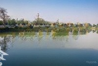 Bán Biệt Thự Đơn Lập Vinhomes Riverside, Giá Thỏa Thuận, 433.9M2, Hướng Đn, Sông Nội Khu, Gần Almaz