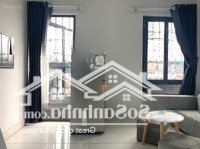 Cc Mini - 8 Tầng, Thang Máy Kính Koong 14 Căn Hộ Khép Kín - Doanh Thu 70 Triệu/Tháng