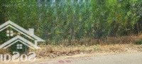 Duy Nhất Lô 11M Đường Nhựa Xay Sát Văn Minh, Giá Tốt Nhất Thị Trường