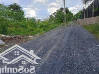 Gia Đình Cần Bán Miếng Đất Trảng Bàng, Tây Ninh 303M2 Thổ 100M2, Srh, Công Chứng Ngay