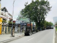 Mp Lạc Long Quân 153M 4T Mt8.M. Vị Trí Đẹp, Vỉa Hè Rộng, Kd Tốt. 86 Tỷ