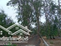 Bán Đất Gần Bãi Tắm Bãi Choi, Hòn Yến, Tuy An, Phú Yên - 1160M2 - Giá Bán Nhanh 3 Tỷ