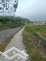 Bán Đất Gần Bãi Tắm Bãi Choi, Hòn Yến, Tuy An, Phú Yên - 1160M2 - Giá Bán Nhanh 3 Tỷ