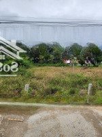 Cần Bán Lô Cam An Bắc,Diện Tích726M2 Giá Bán 1, 550 Triệu, Thôn Hiền Lương