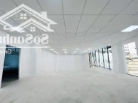 Độc Nhất! Bán Tòa Nhàmặt Tiềntrường Sơn Sân Bay,P. 2, Tân Bình- Hầm 7 Tầng 12X25M Hđt 320 Triệu - Chỉ 89 Tỷ