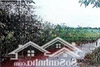 Bán Đgts Tđ: 278, Tbđ: 28, Địa Chỉ: Ấp 5, Xã An Khương, Huyện Hớn Quản, Tỉnh Bình Phước