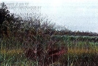 Bán Đgts Tđ: 278, Tbđ: 28, Địa Chỉ: Ấp 5, Xã An Khương, Huyện Hớn Quản, Tỉnh Bình Phước
