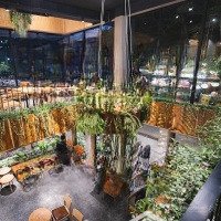 Cho Thuê Nhà Mặt Phố Vũ Trọng Phụngdiện Tích100M2 X2 Tầng. Mặt Tiền 10M. Vị Trí Trung Tâm Đẹp Nhất Phố