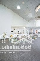 Cho Thuê Mặt Bằng Sạch Đẹp Tiện Nghi Giá Rẻ Trung Tâm Cầu Giấy Thương Lượng Cho Khách Thiện Chí
