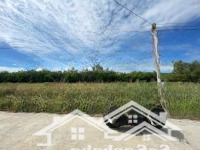 Đất Dân, Sổ Sẵn, Dân Đông Gần Đường Nhựa Lớn, Gần Kcn Minh Hưng, Chơn Thành, Bình Phước
