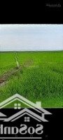 Chính Chủ Gửi Bán Lô Đất Đẹp Trung Lập Thượng, Củ Chi