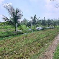 Xã lỗ 300tr. Khu vườn 1700m2 có 25m mặt tiền. 950tr