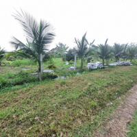 Xã lỗ 300tr. Khu vườn 1700m2 có 25m mặt tiền. 950tr