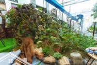 Chính Chủ Gửi Bán Nhà Biệt Thự 3,5 Tầng View Sông Đường Thăng Long - Hoà Thọ Đông - Cẩm Lệ