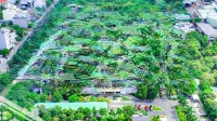 Happy One Sora - P. Linh Xuân, Tp Thủ Đức, Dự Kiến 45 Triệu/M2, Giá Cực Tốt, Pháp Lý Hoàn Chỉnh