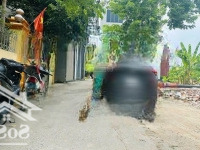 Chính Chủ Cần Tiền Bán Gấp Mảnh Đất Đẹp Thôn Hội Phụ, Đông Hội, Đông Hội, Đông Anh