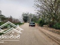 Đầu Tư Ngay! Bán Đất Dịch Vụ Tại Trôi - Diện Tích Đa Dạng 52M, 65M, 178M, Vị Trí Vàng!